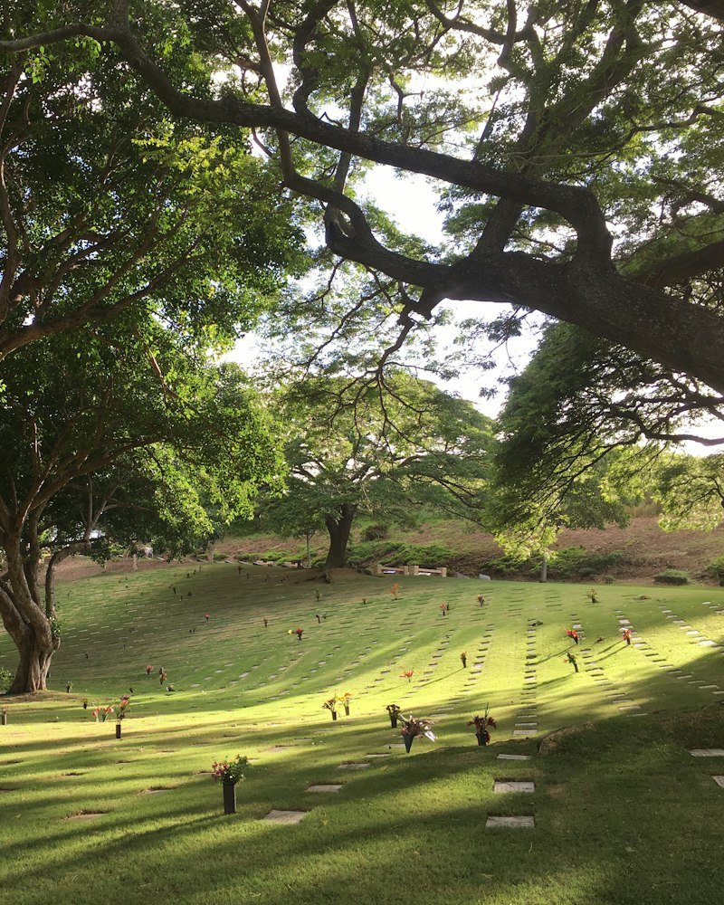Cemitério Jardim da Saudade
