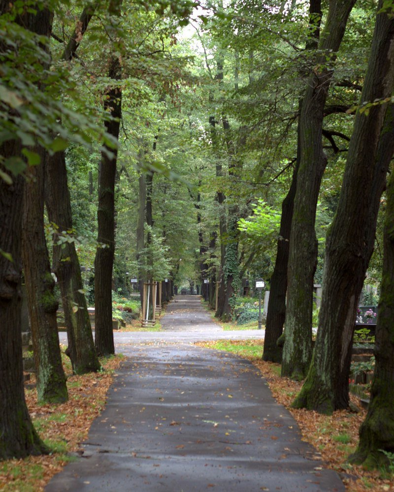 Cemitério Municipal Jardim da Saudade