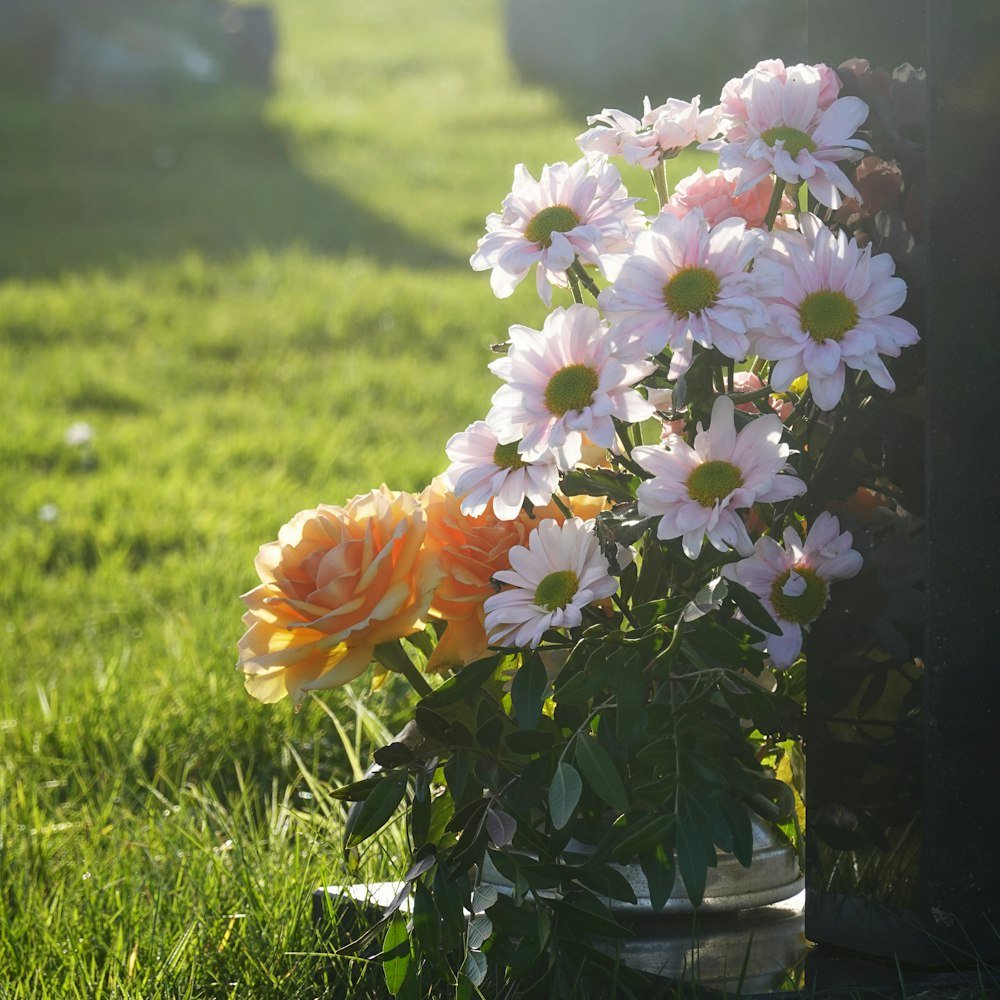 Flores deixadas em homenagem ao entardecer