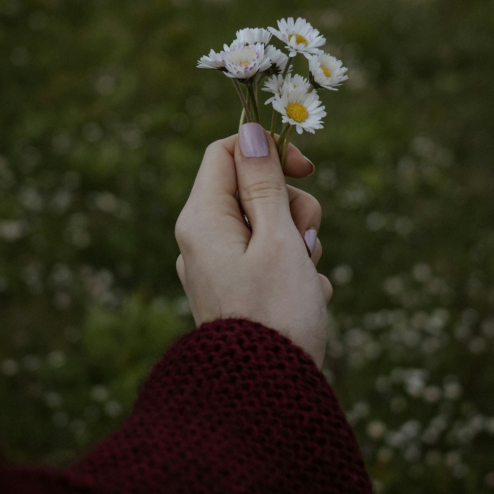 Uma flor branca oferecida em memória